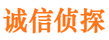 大名市侦探公司